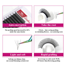 Load image into Gallery viewer, W Shape Eyelash Extensions 4D Premade Volume Fans